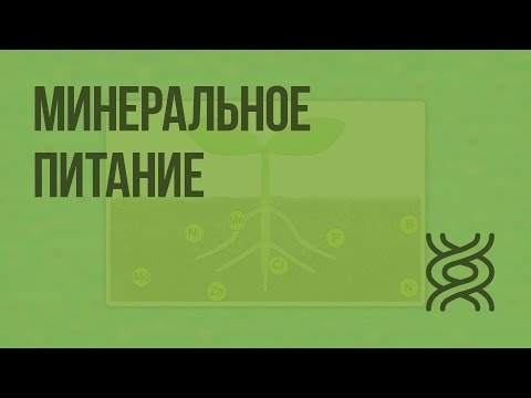 Видеоурок минеральное питание растений и значение воды