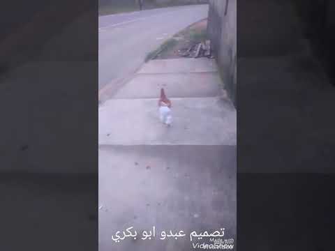 الغربه قتلتني