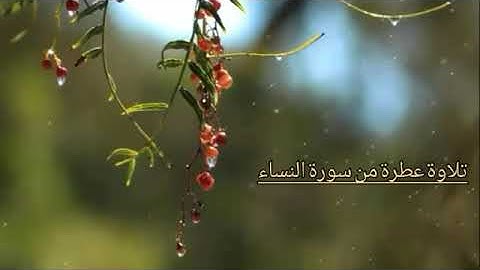 تلاوة عطرة من سورة النساء القارئ يسلم بن وبر الحضرمي