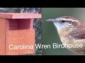 How to Build a Birdhouse for Carolina Wrens - Narrated Tutorial