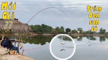 62. Trắm đen không ăn ốc thì câu bằng gì ????? Mồi câu trắm đen