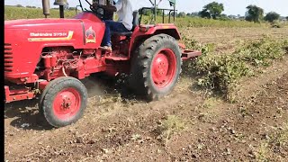 Remove cotton plant with V-Pass Mahindra 575 di