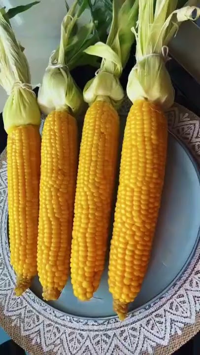 ITS CORN🌽✨! #abirzkitchen