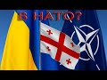 Коммюнике саммита НАТО: что дальше?