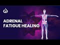 Capture de la vidéo Adrenal Fatigue Frequency: Adrenal Glands Healing, Balance Hormones