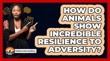 How Do Animals Show Incredible Resilience To Adversity? - The Documentary Reel
