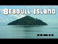 SCP-930 Seagull Island |object class euclid | Avian / Predatory / Location scp
