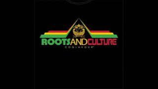 ROOTS AND CULTURE 2016 MIXX   DJ KALONJE