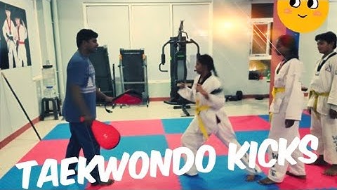 Taekwondo kicks basic level👍