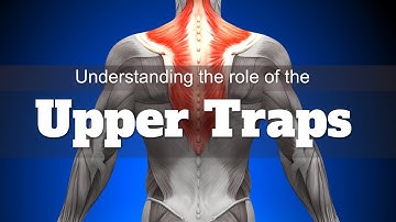 Upper Trapezius role with improving Shoulder & Scapula Stability