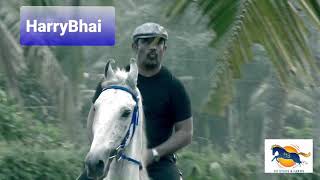 With His Favorite Horse Devrath