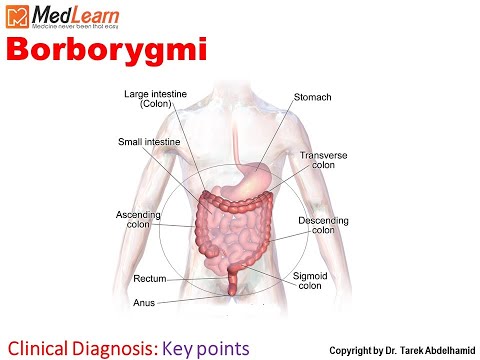 محاضرات باطنة Borborygmi [تشخیص بالینی] آزمونهای پزشکی داخلی طب داخلی CME