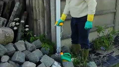 3 Litre Ready to Use Spray Application  | Video | Roundup Weedkiller