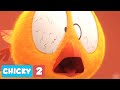 Where's Chicky? NEW SEASON 2 | CRAZY CHICKY | Chicky Cartoon in English for Kids