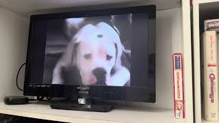 Opening To Disneys Escape To Witch Mountain 1993 Studio Film Collection Vhs