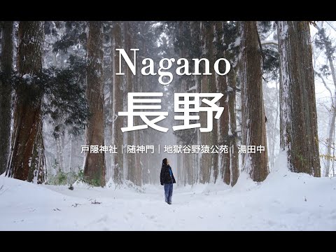 Nagano Travel Vlog | Togakushi Shrine，Exploring Snow Monkey Park| Onsen Village, ShanTrip15