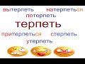 № 688 Уроки русского языка: "ТЕРПЕТЬ" с приставками