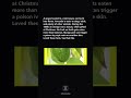 Fruit Facts That Sound Completely Fake