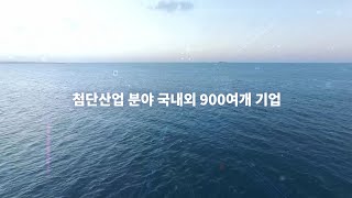 첨단산업 분야(High-tech Industry)