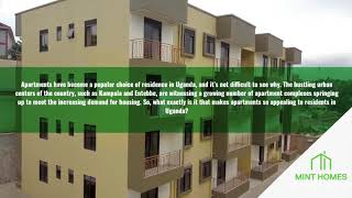 Mint Homes