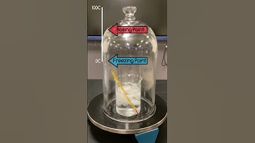 Making Ice Water Boil Without Heating it Up #physics #science