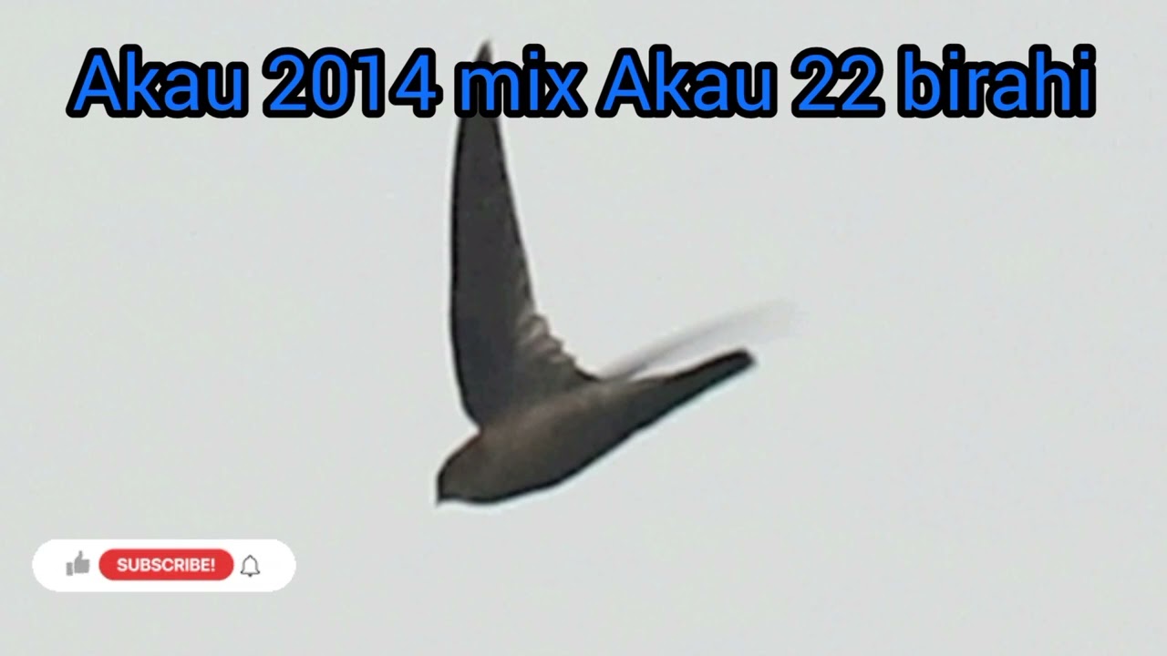 AKAU_2014_MIX_AKAU_22_BIRAHI.mp3