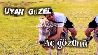 Reynmen Aykız Edit