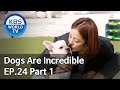 Dogs are incredible | 개는 훌륭하다 EP.24 Part 1 [SUB : ENG/2020.05.06]