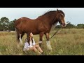 Horse Photoshoot Behind The Scenes | equine photography