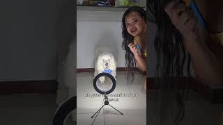 se você quiser seguir...🤭🤏☺️ #trend #trending #viral #shorts #dog #pets