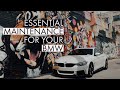 Buying a Used BMW? (ESSENTIAL MAINTENANCE)