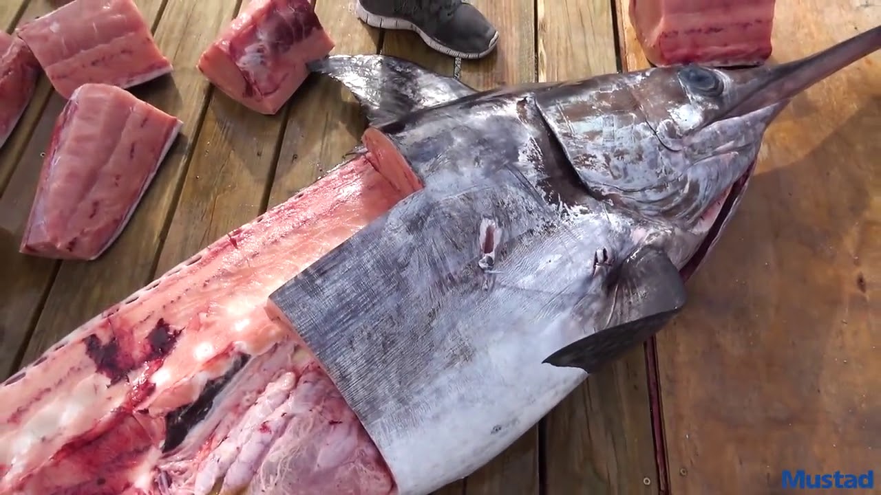 How to clean a 231lb Swordfish YouTube