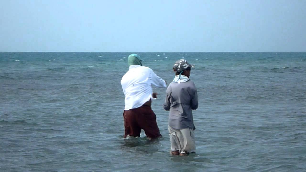 Bruce Leslie's Son Casting to Bonefish I