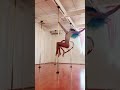 Angels - pole dance by Michelle Shimmy