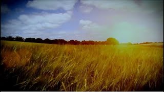 Enchanted Land  -  Phil Rey Gibbons (history, emotional)