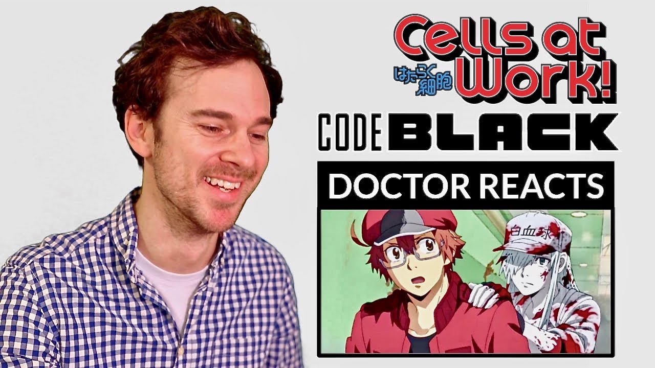 AmiAmi [Character & Hobby Shop]  Cells at Work! CODE BLACK Scene