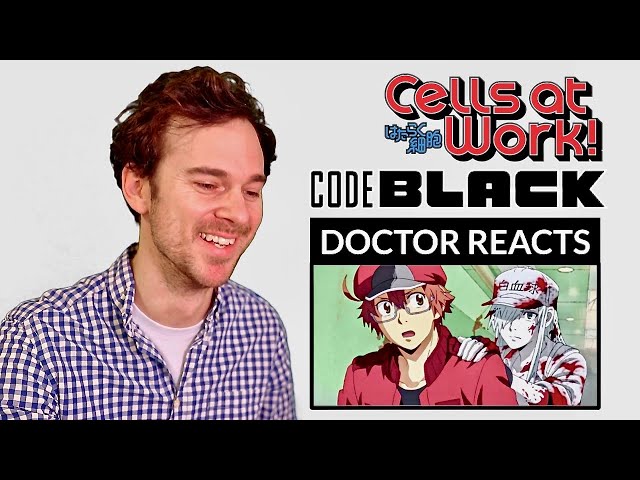 Cells at Work! CODE BLACK – Ep. 1 (First Impressions) – Xenodude's Scribbles