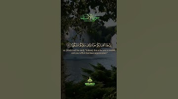 Amazing Relaxing voice , Listen To The Quran, Surah Al insan by QARI HAMZA AHMED | سورة الانسان