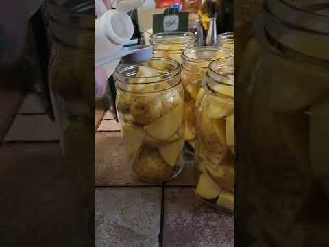 Amish Canning Potatoes!