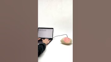 Arduino Serial Testing