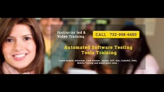 Selenium with JAVA Web Software Automated Testing Training Tutorial Shopping Cart Testing screenshot 4