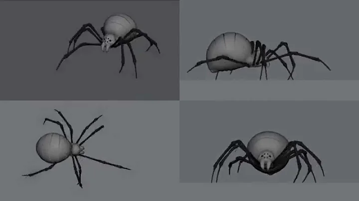 Spider Walk Cycle - Final (4 views)
