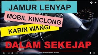 inilah cara ampuh untuk memberantas jamur dalam mobil.