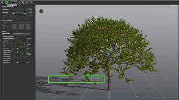 PlantCatalog: 3D Lemon tree - Citrus x limon - procedural 3D vegetation