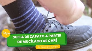Suela de zapato a partir de mucílago de café - TvAgro por Juan Gonzalo Angel Restrepo by TvAgro 750 views 6 days ago 3 minutes, 27 seconds