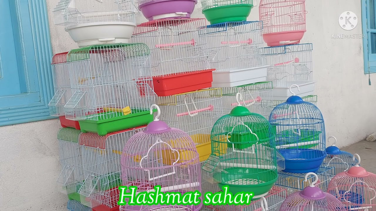 New Canary Cages coming in parachinar in Hashmat sahar Birds shop    