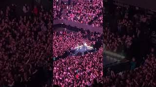 Jonas Brothers Gotta Find you live - 20/02/2020 Amsterdam