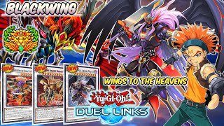 BLACKWING | Crow New Support & New Skill | Duel In KOG | Yu-Gi-Oh! Duel Links