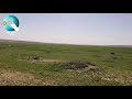 بادية السماوة فيضة الساعة قناة كيو Q mp3