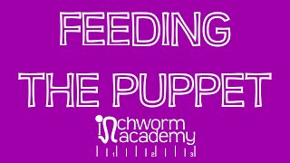 Inchworm Academy | Feeding the Puppet